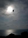 hang glider over pacific-tarje